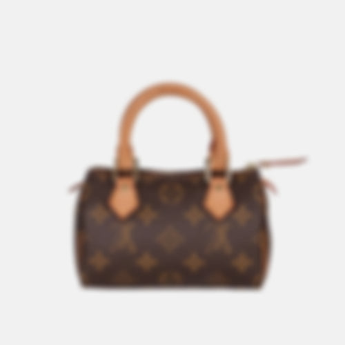 Speedy Mini Bag