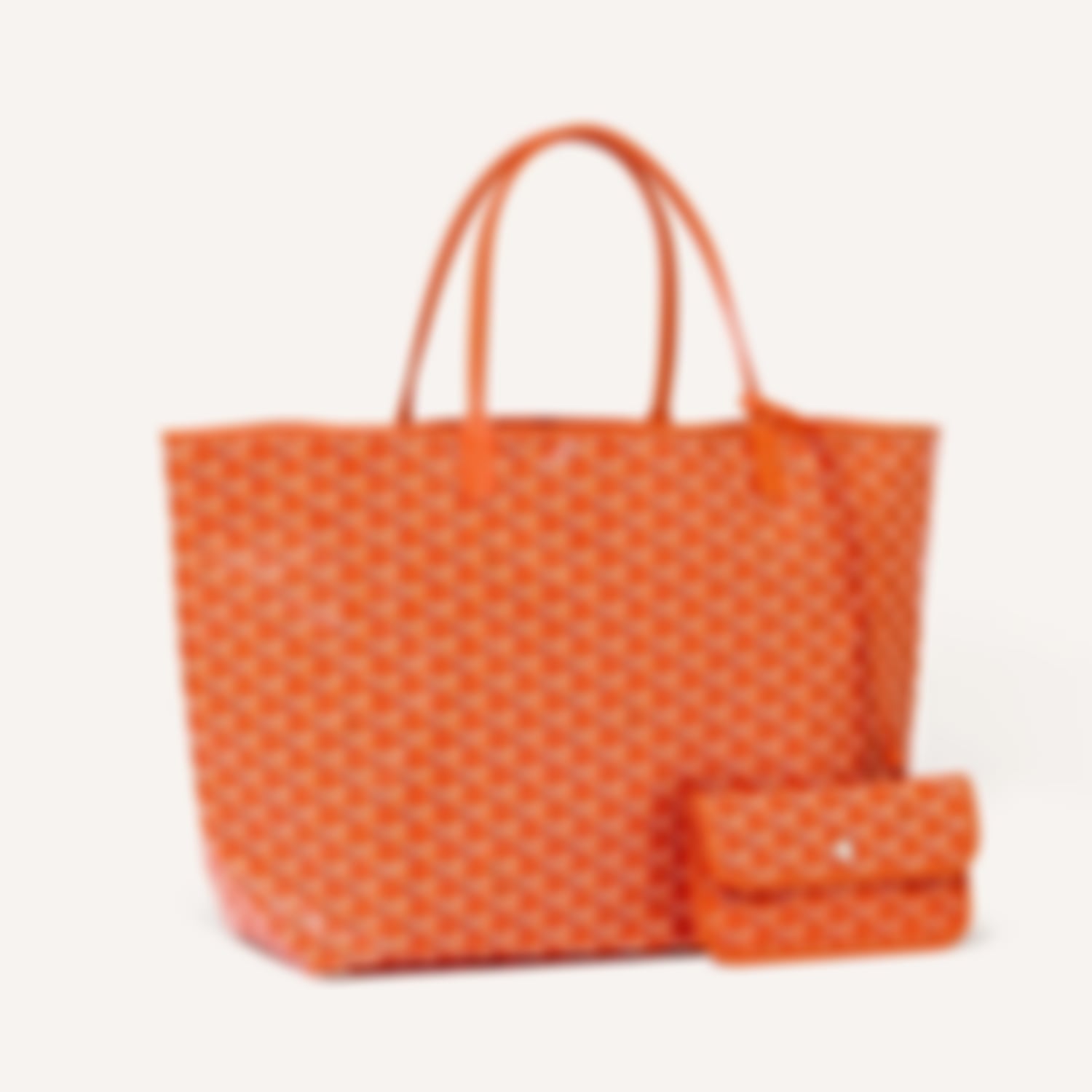 GM Leather Bag