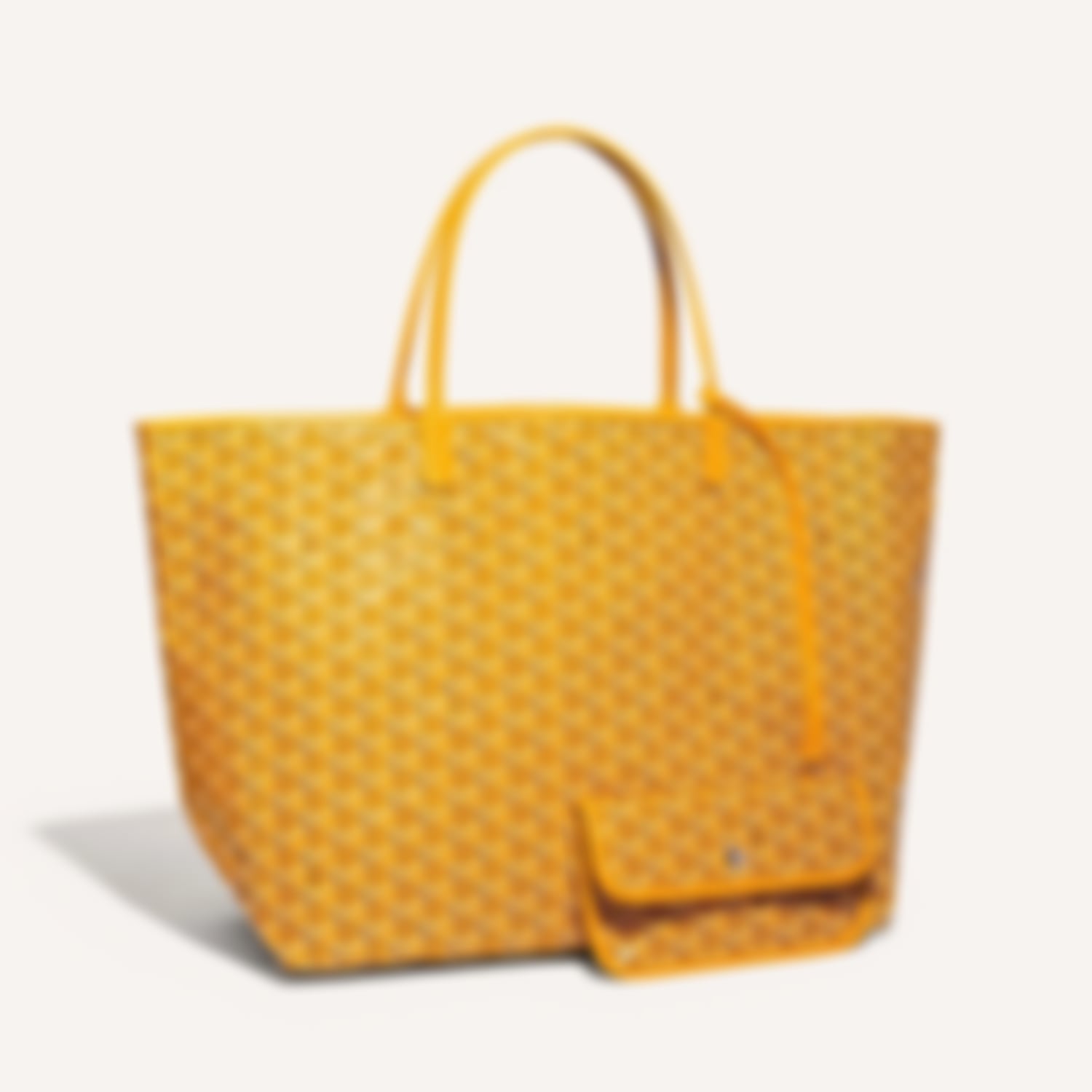 GM Leather Bag