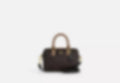 Mini Rowan Crossbody Bag Signature Canvas