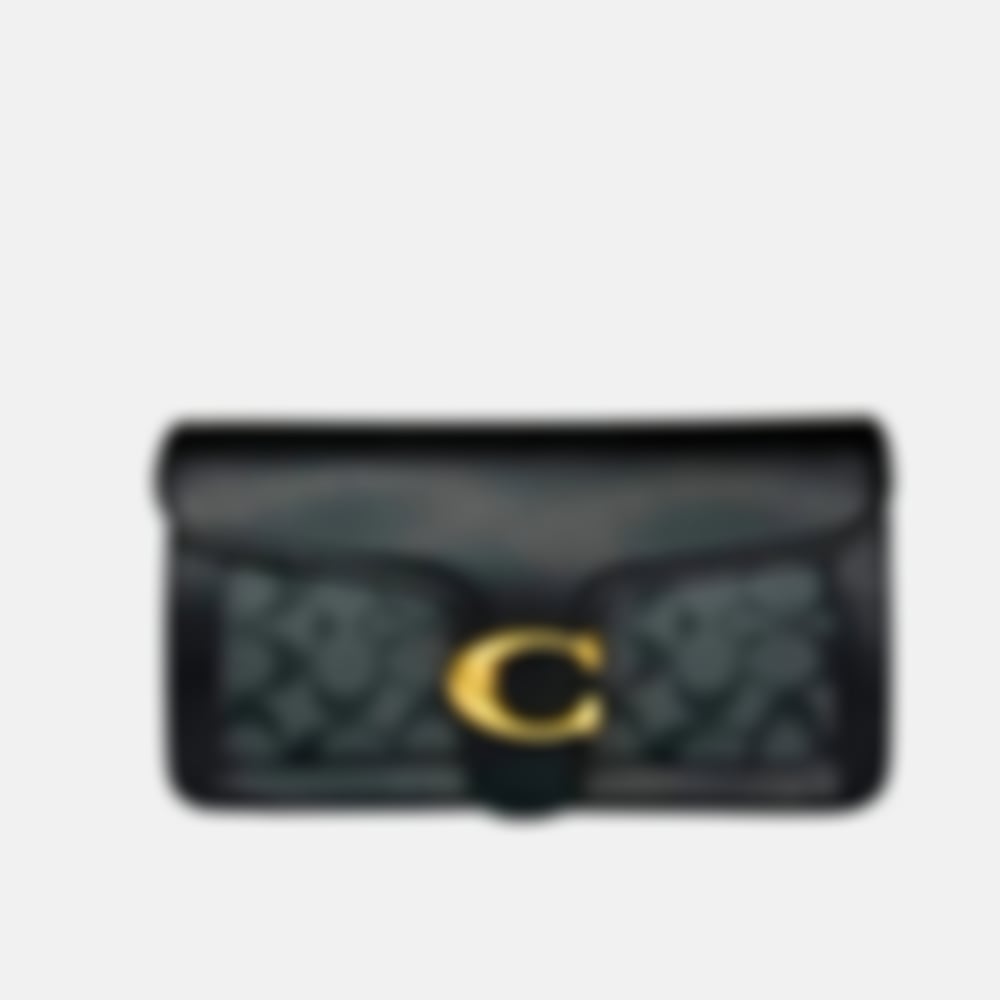 26 Canvas Bag