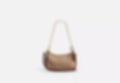 Teri Mini Crossbody Bag In Signature Canvas
